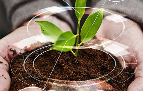 Smart agriculture IoT with hand planting tree background